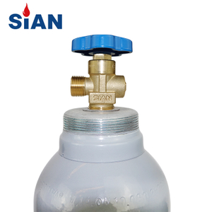 Gas Industri Sian In-Line RPV Medical Oxygen Cylinder Tekanan O2 Valve