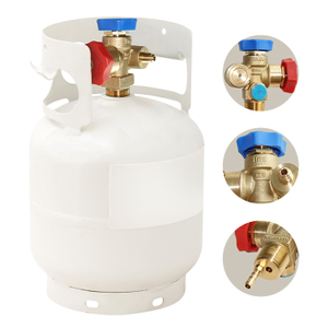 Sian Industrial Gas Double Freon Refrigerant Recovery Recovery Cylinder Valves Dengan Tped Disetujui