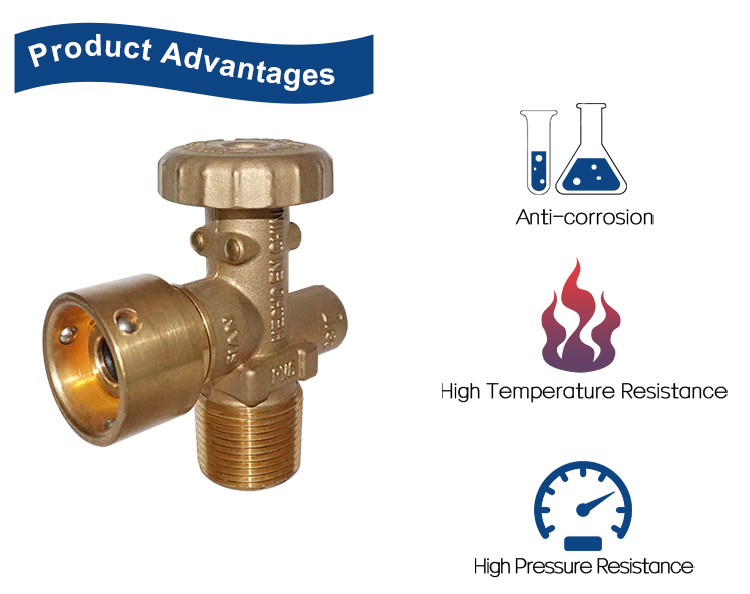 LPG Venezuela Standard Inflable Head Valve PV6 (8)